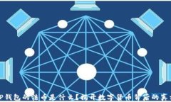 TP钱包的法币是什么？揭开