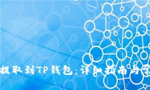 如何将资金提取到TP钱包：详细指南与常见问题解答