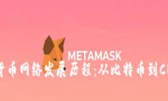 全球数字货币网络发展历