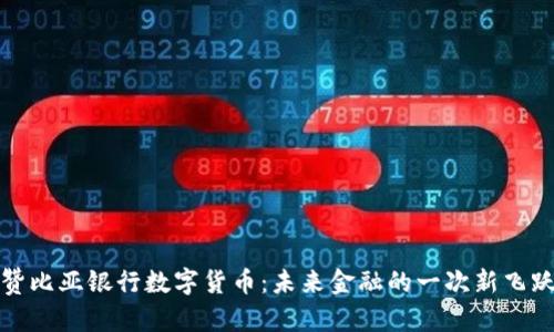 赞比亚银行数字货币：未来金融的一次新飞跃