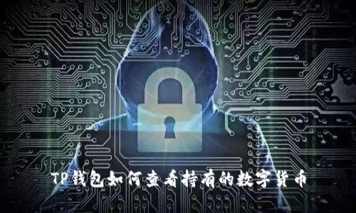 TP钱包如何查看持有的数字货币