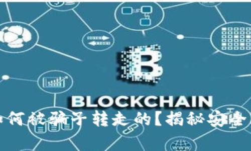 tp钱包的币是如何被骗子转走的？揭秘安全隐患与防范指南