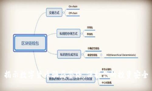 揭示数字货币骗局套路，保护你的投资安全