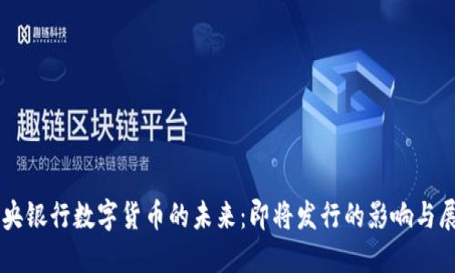 中央银行数字货币的未来：即将发行的影响与展望