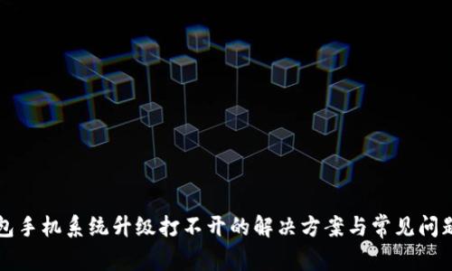 TP钱包手机系统升级打不开的解决方案与常见问题解析