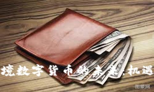 中国跨境数字货币的未来：机遇与挑战