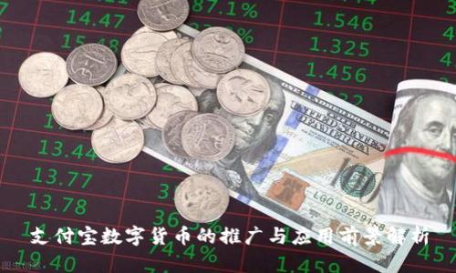 支付宝数字货币的推广与应用前景解析