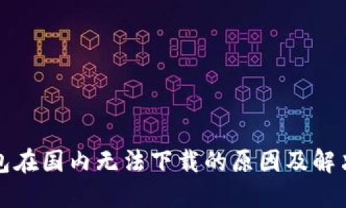 TP钱包在国内无法下载的原因及解决方案