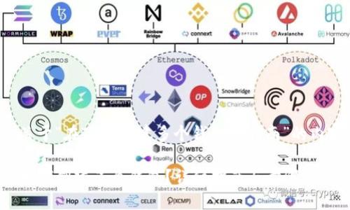 下面是关于“在TP中创建多个钱包的指南”的内容框架。

在TP中如何创建多个钱包？详细指南与步骤
