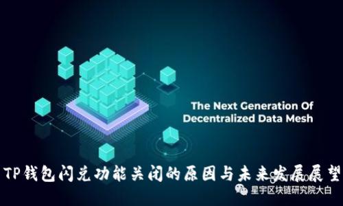 TP钱包闪兑功能关闭的原因与未来发展展望