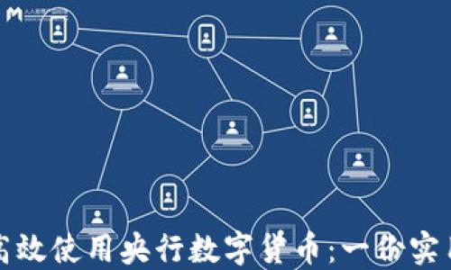 
如何高效使用央行数字货币：一份实用指南