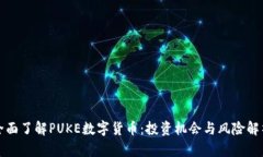 全面了解PUKE数字货币：投