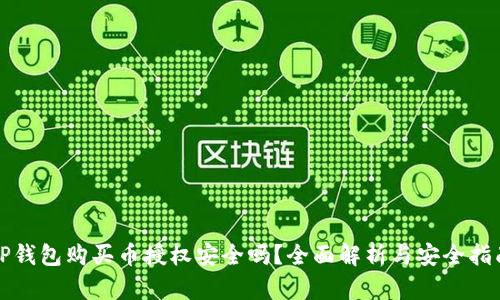 TP钱包购买币授权安全吗？全面解析与安全指南