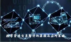 数字货币交易暂停的原因