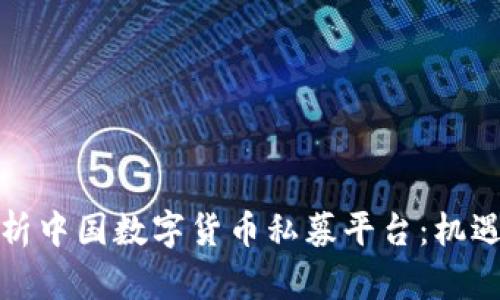 全面解析中国数字货币私募平台：机遇与挑战