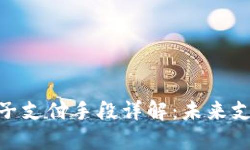 : 数字货币电子支付手段详解：未来支付的变革之路