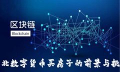  湖北数字货币买房子的前