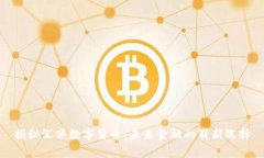 揭秘汇顶数字货币：未来