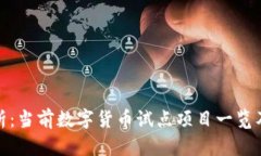 全面解析：当前数字货币