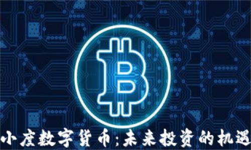 
徐坤与小度数字货币：未来投资的机遇与挑战