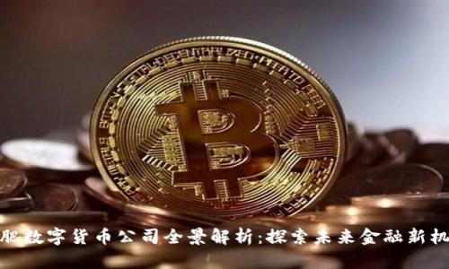 合肥数字货币公司全景解析：探索未来金融新机遇