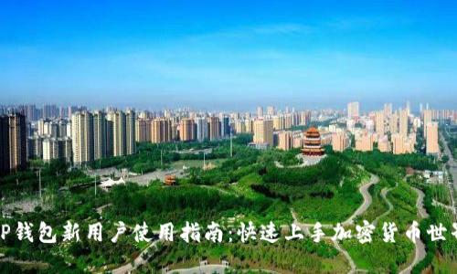TP钱包新用户使用指南：快速上手加密货币世界