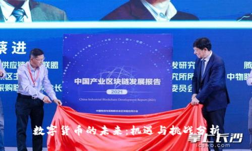 数字货币的未来：机遇与挑战分析