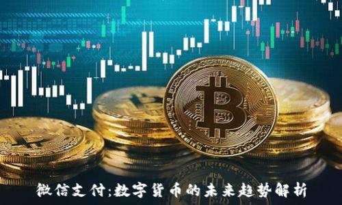   
微信支付：数字货币的未来趋势解析