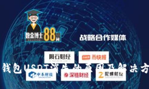 TP钱包USDT消失的原因及解决方法