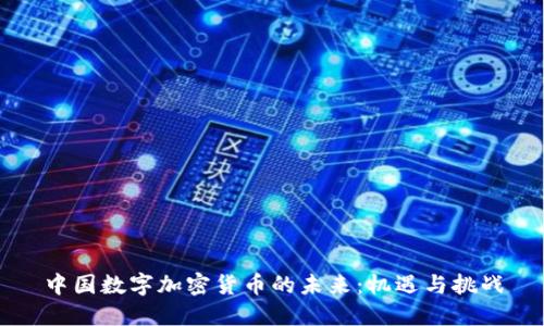 中国数字加密货币的未来：机遇与挑战