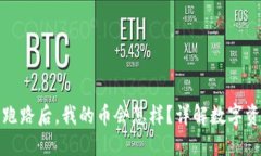 TP钱包跑路后，我的币会怎