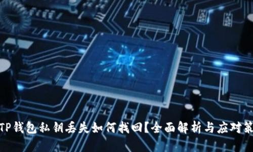 : TP钱包私钥丢失如何找回？全面解析与应对策略