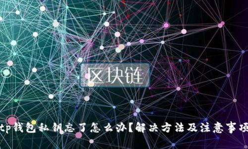 tp钱包私钥忘了怎么办？解决方法及注意事项