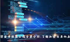 数字货币操盘公司全景介