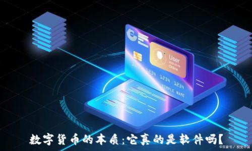   
数字货币的本质：它真的是软件吗？