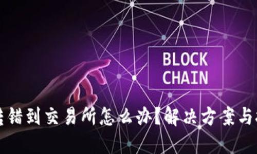 TP钱包转错到交易所怎么办？解决方案与技巧分享