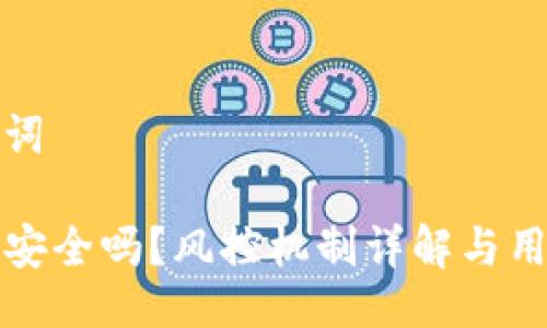 及关键词

TP钱包安全吗？风控机制详解与用户指南