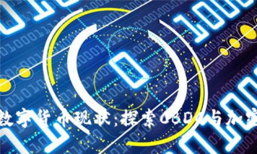 : 土耳其的数字货币现状：探索CBDC与加密货币的未来