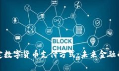 全面解析法定数字货币支