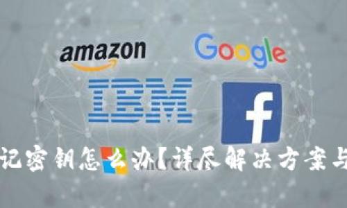 TP钱包忘记密钥怎么办？详尽解决方案与帮助指南