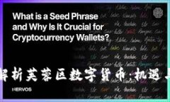 全面解析芙蓉区数字货币