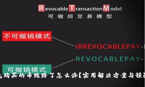 tp钱包购买的币跑路了怎么办？实用解决方案与预防措施