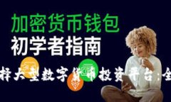 如何选择大型数字货币投