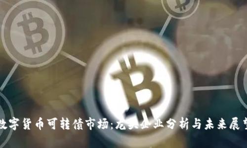 数字货币可转债市场：龙头企业分析与未来展望