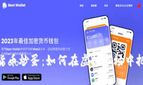 : 数字货币炒蛋：如何在虚拟市场中把握机会
