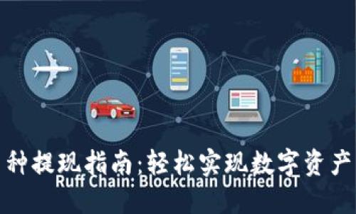 TP钱包币种提现指南：轻松实现数字资产的流动性