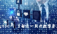 TP钱包BSC-1：了解这一新兴