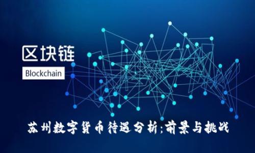 苏州数字货币待遇分析：前景与挑战