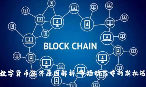 数字货币涨停原因解析：市场动荡中的新机遇