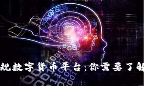 国家正规数字货币平台：你需要了解的一切